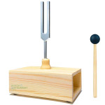 Resonance Box with Tuning Forks
